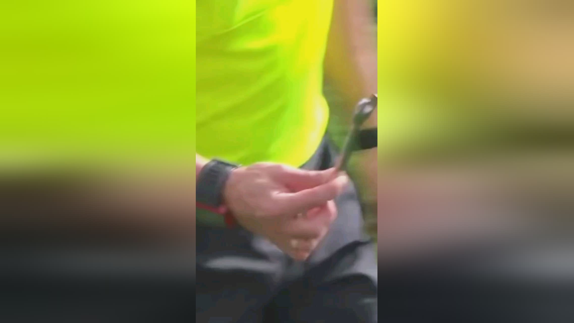 辛勤努力